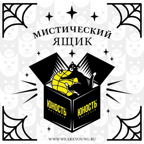 Мистический ящик ЮНОСТЬ™ «Кот в Мешке»